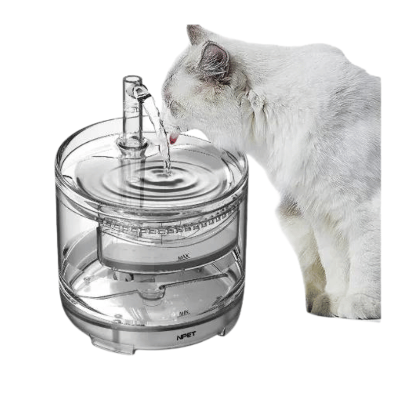 Fuente De Agua Para Mascotas transpa