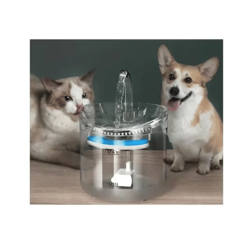Fuente De Agua Para Mascotas transpa